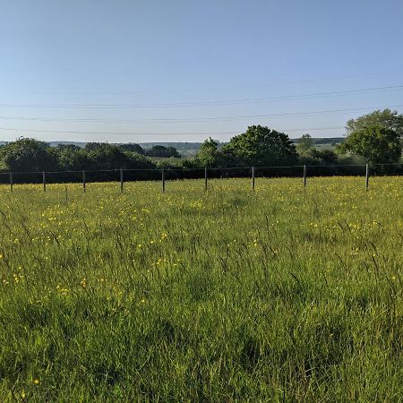 Foxhill Lodges Canterbury Exteriör bild