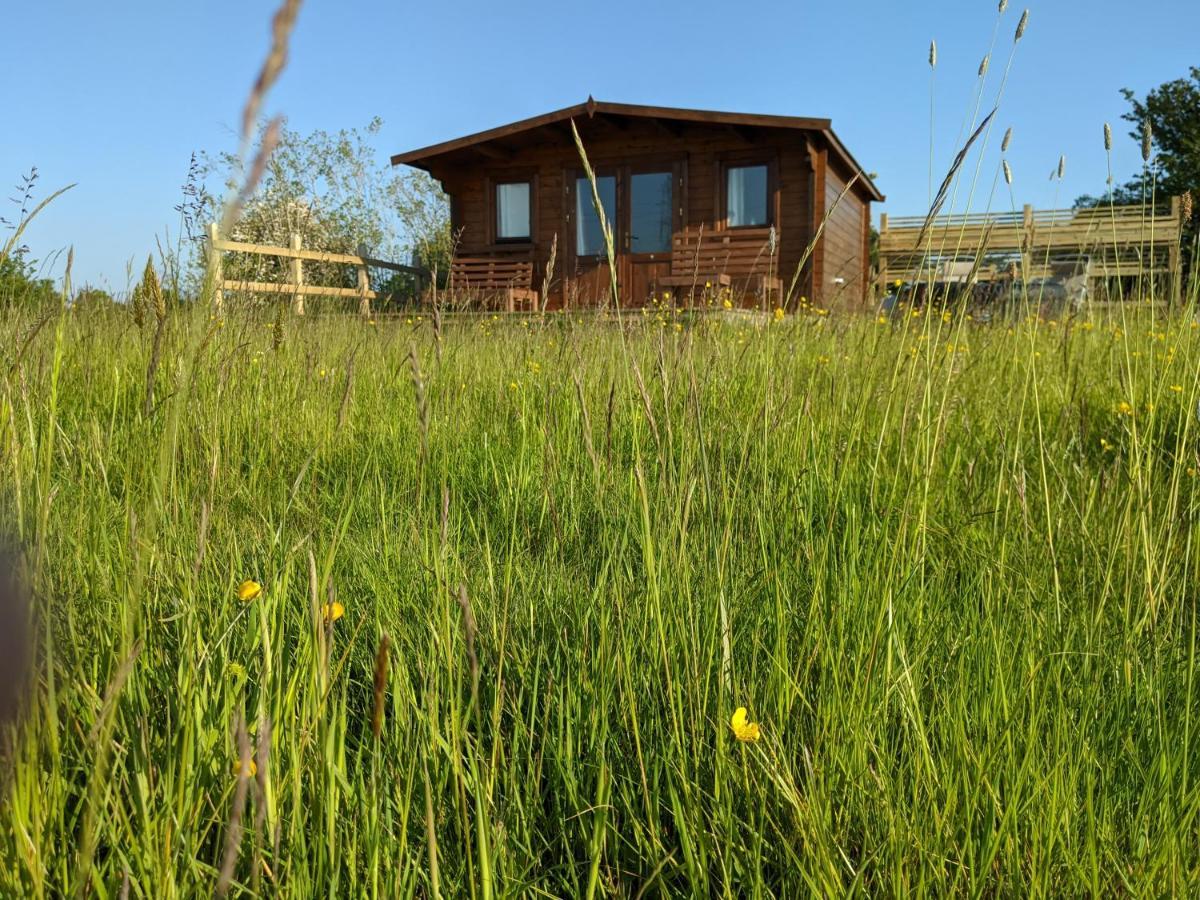 Foxhill Lodges Canterbury Exteriör bild
