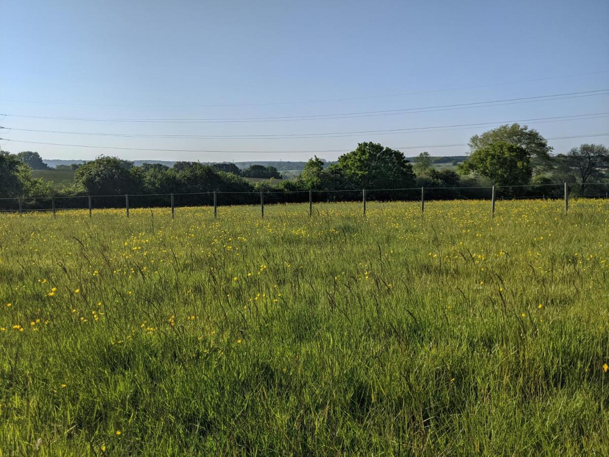 Foxhill Lodges Canterbury Exteriör bild